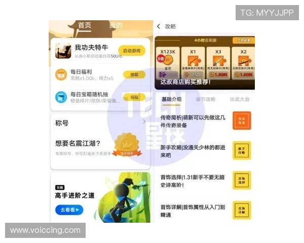 如何选择优质百家乐下载APP，提升游戏体验和赢取更多奖金的实用技巧